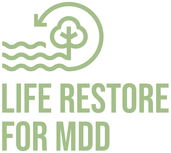 life restore for mdd
