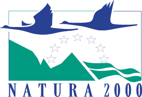 aura 2000